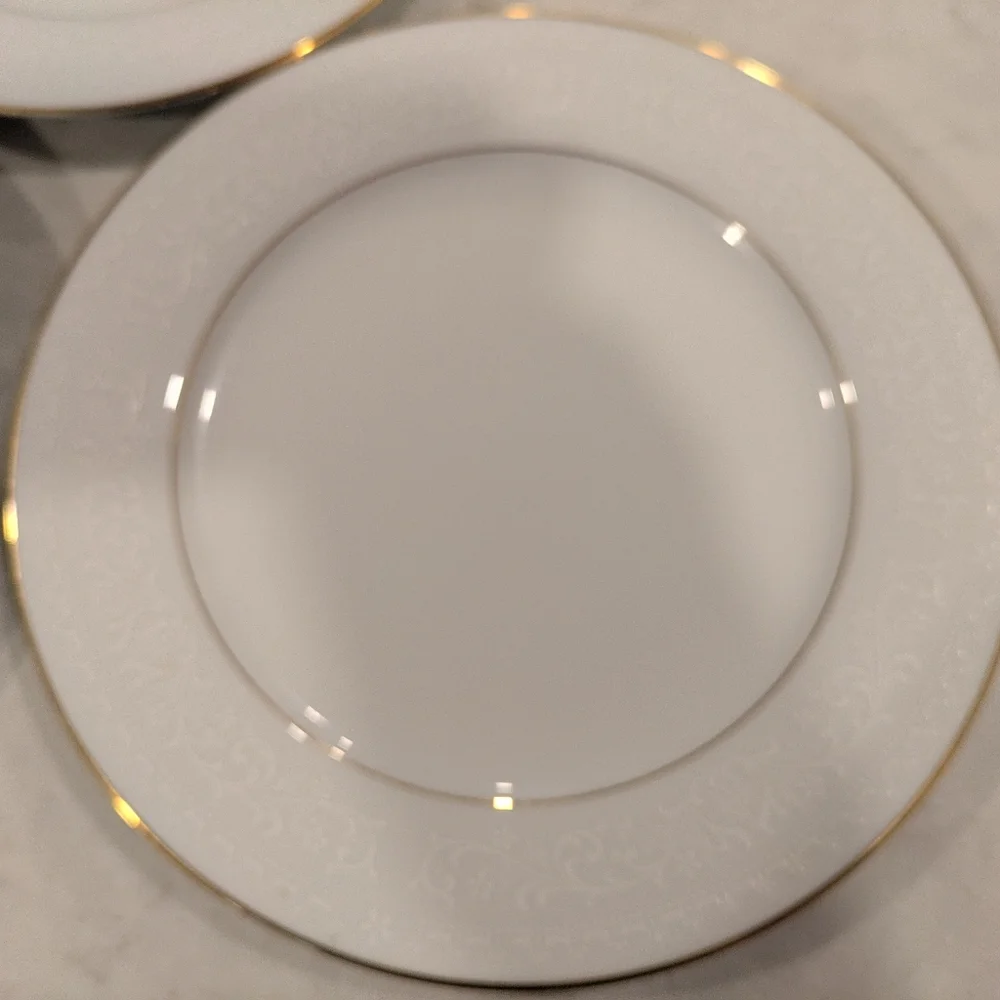 Noritake sophisticated plates